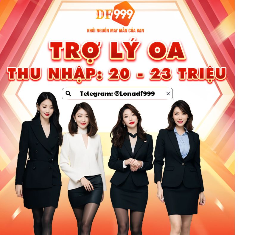 lĩnh vực hoạt động